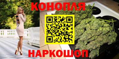 индика Гусь-Хрустальный