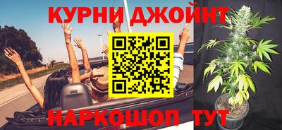 индика Гусь-Хрустальный
